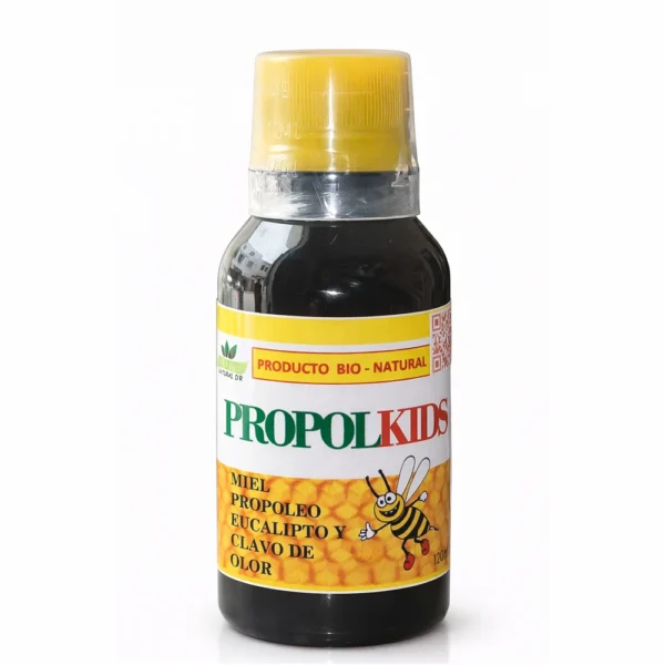 PROPOLKIDS VIDA Y SALUD NATURAL D'R 120ML
